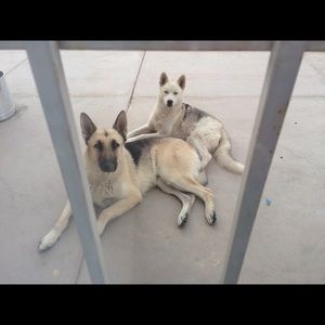 Meet your Posher, Jessi